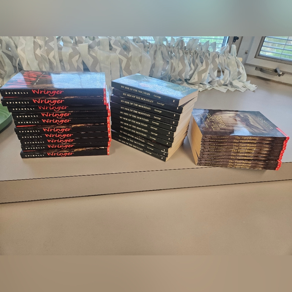 Grades 4-6 Book Lot